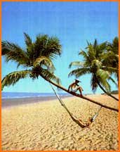 goa tourism,tourism in goa,tourism goa,goa tourism india,goa tourism hotels,goa india tourism 